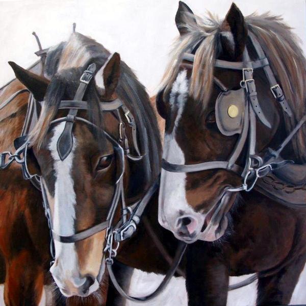 Harness Pals By Sue Dent